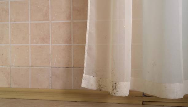 Best Indoor Air Quality Assessment  in Colfax, CA
