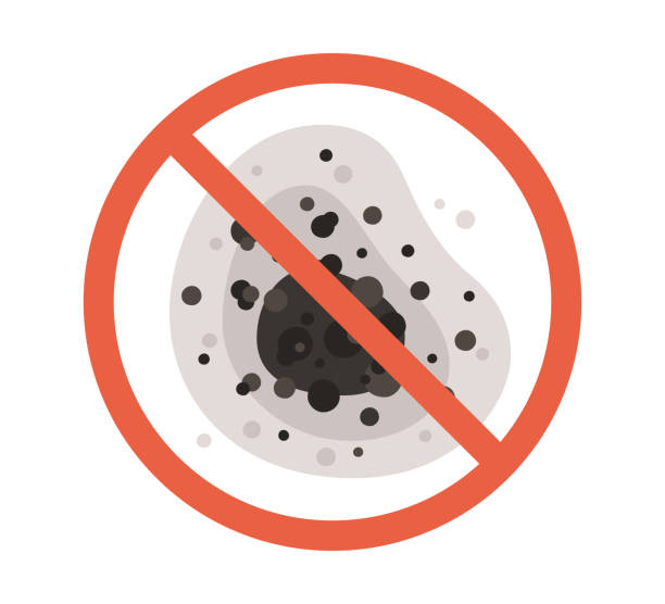 Best Biohazard Mold Removal  in Colfax, CA