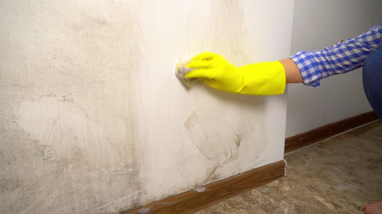 Best Mold Removal for HVAC Installations  in Colfax, CA