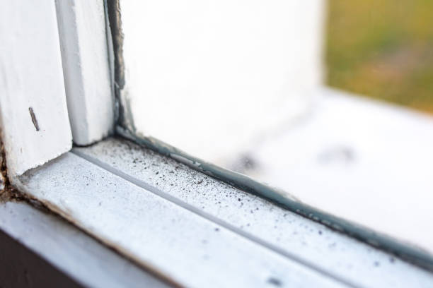 Best Industrial Mold Remediation  in Colfax, CA