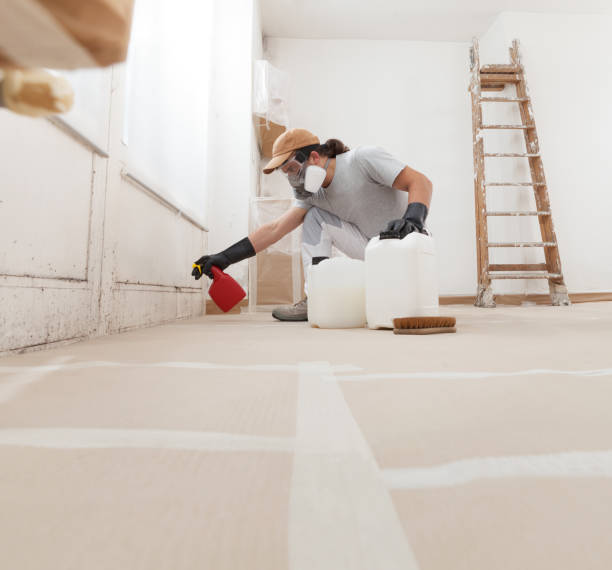 Best Water Damage & Mold Remediation  in Colfax, CA